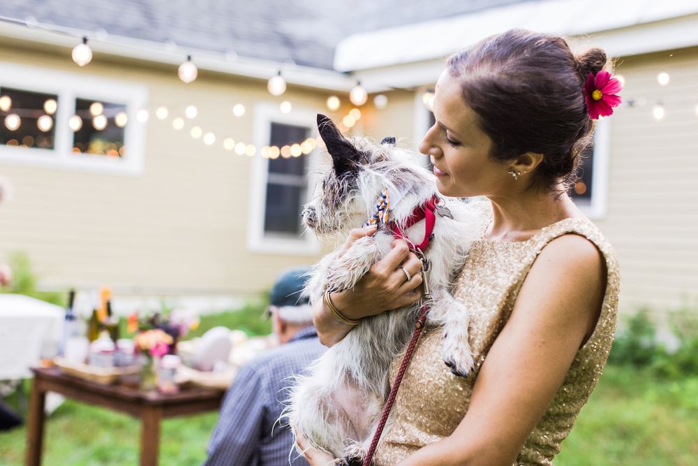 dog at weddings