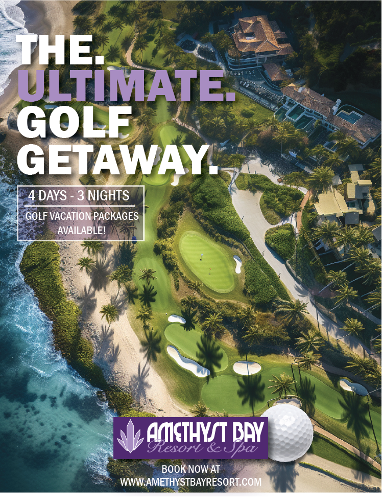 Amethyst Bay Poster