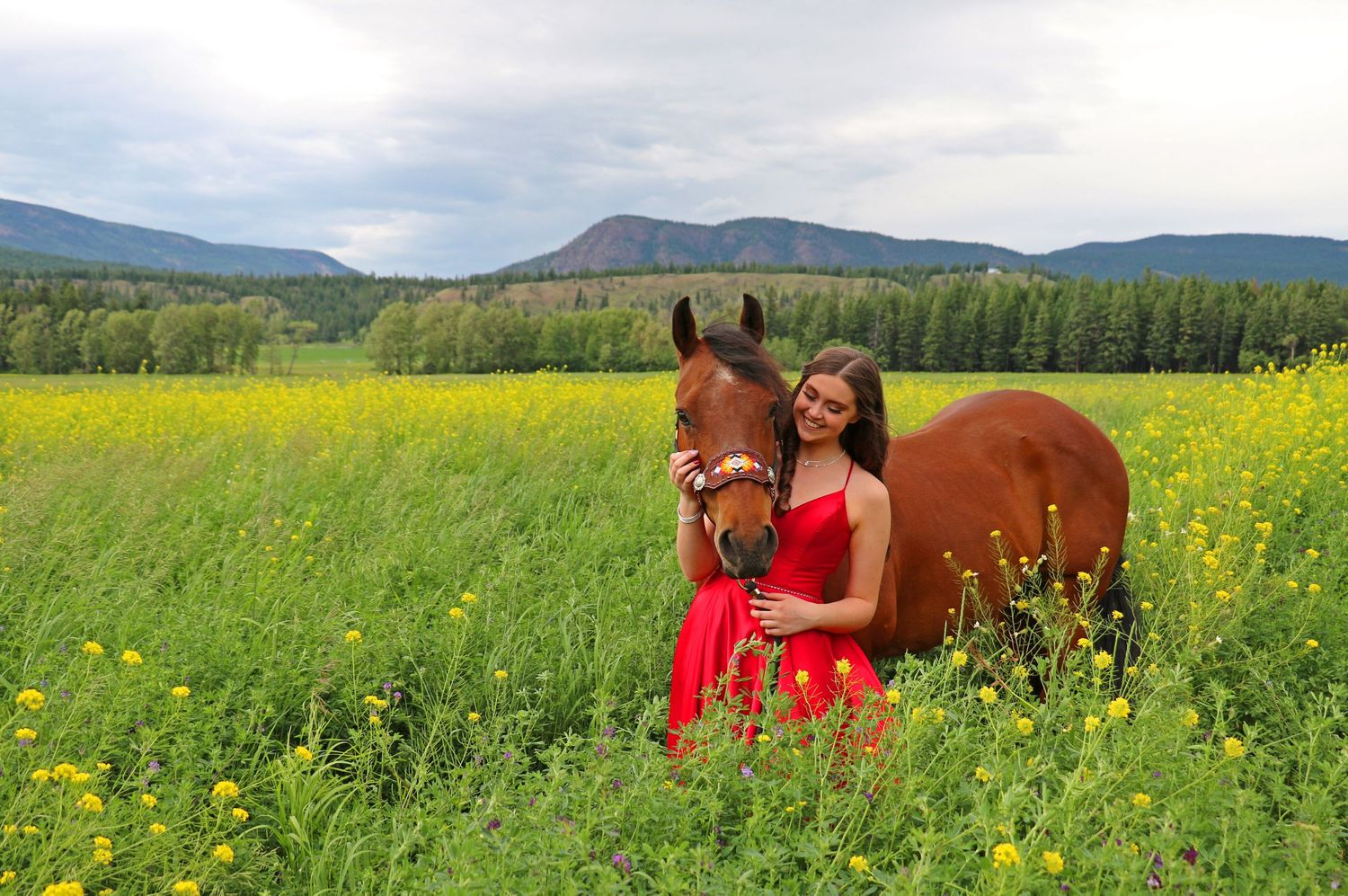 Central Alberta Equine Photographer