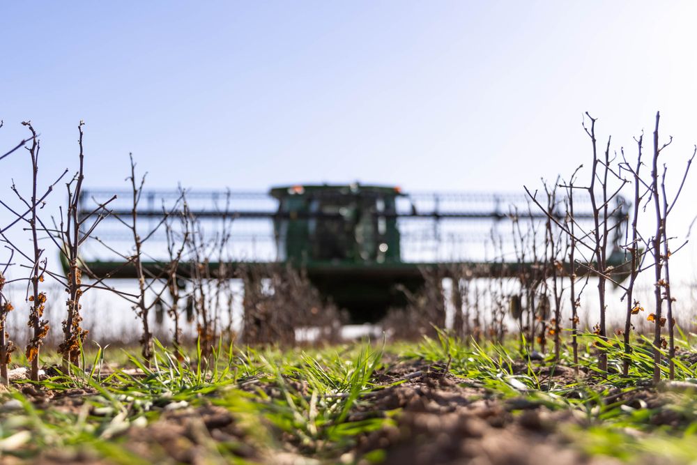 Agricultural sprayer drives through a farm field with wide boom arms spreading pesticide or fertilizer over young crops.