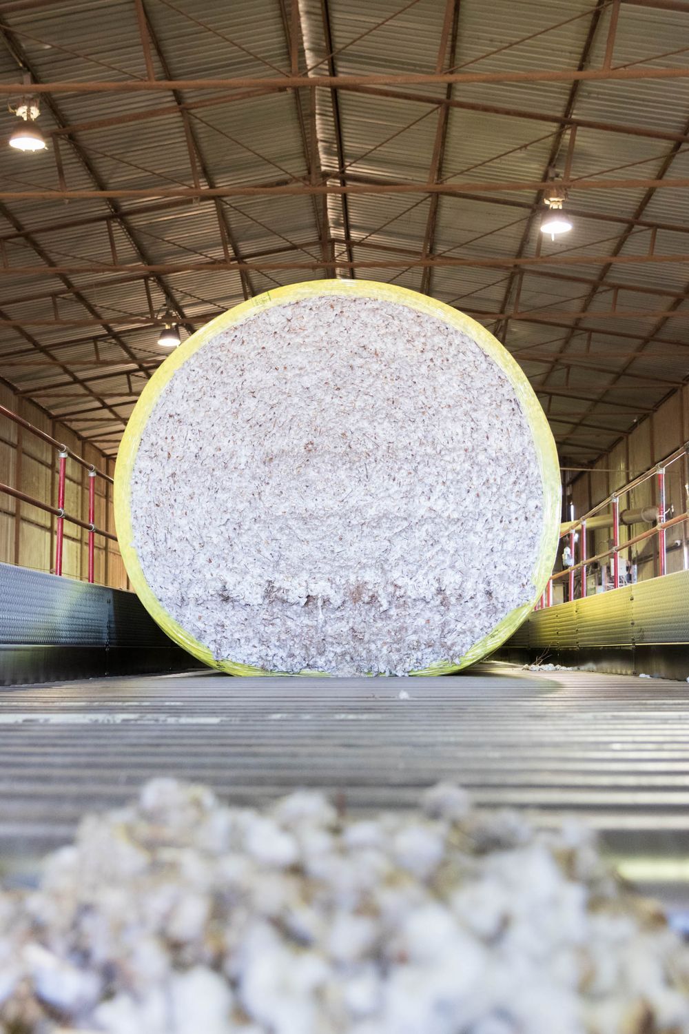 Large pile of harvested cotton packed tightly in an industrial warehouse setting.