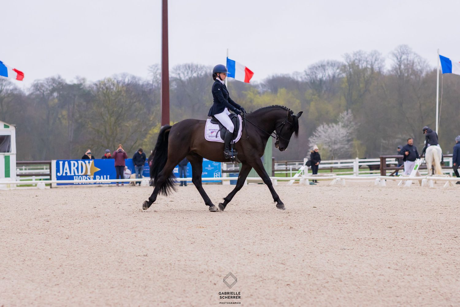 Gabrielle scherrer photographie photographe équestre cheval concours saut d'obstacle dressage