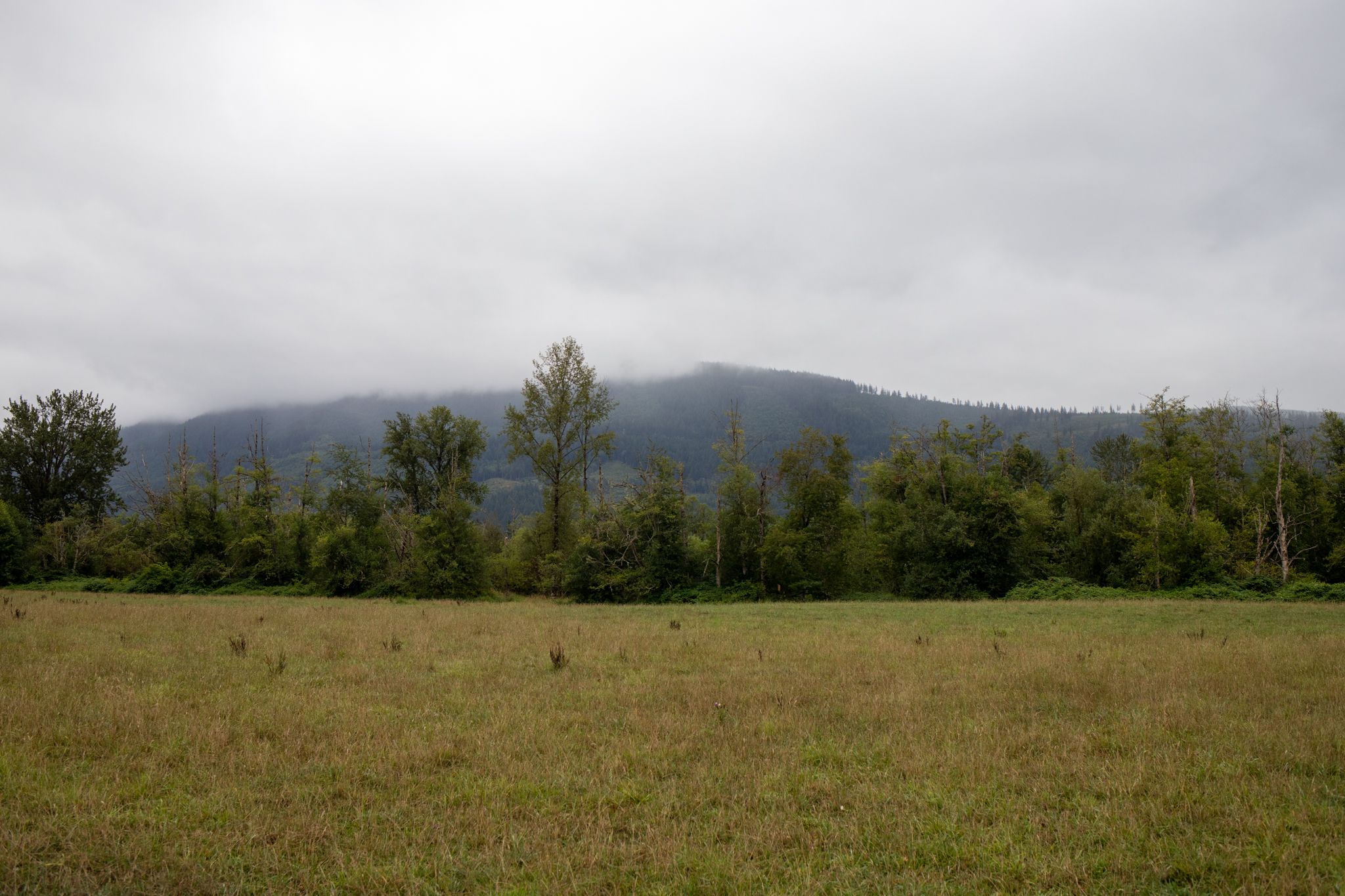 Meadowbrook Farm Location Photographer in Issaquah, Snoqualmie, Maple