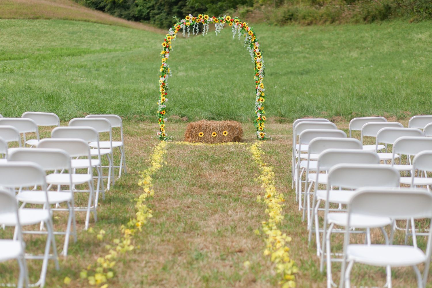 White folding chairs arranged in rows with sunflower-decorated aisle for an outdoor wedding ceremony.