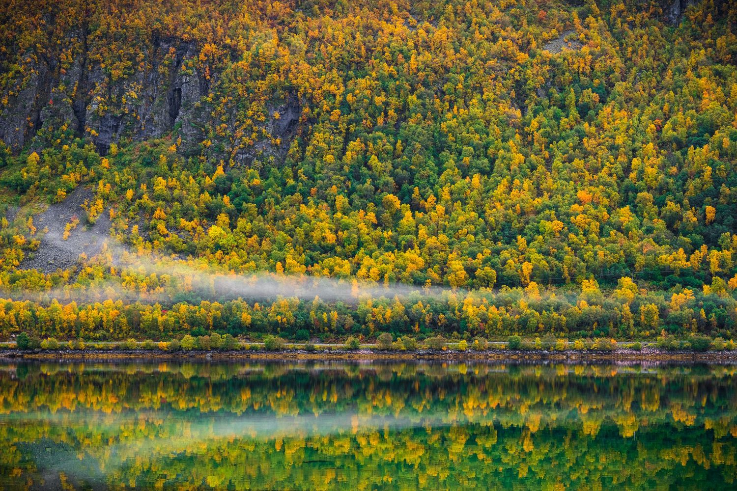 Autumn forest landscape with vibrant yellow and orange foliage reflecting in still water.