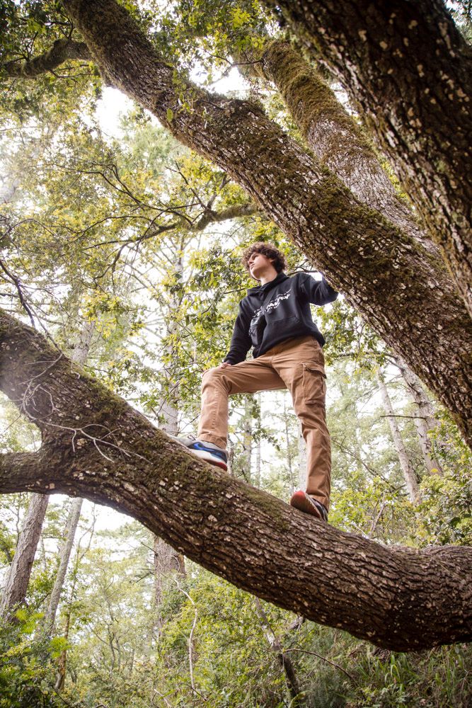 young man standing on tree branch looking to the distance