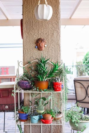 Outdoor patio shelf decorated with colorful potted plants and hanging greenery.