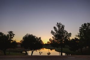 Scenic sunset panorama over a residential area with silhouetted trees against a purple sky.