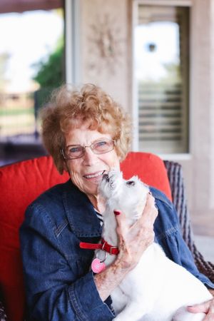 A person in a denim jacket holds and pets a small white dog with a red collar.