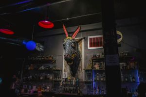 Dark interior of a bar or retail space with neon lighting and hanging decorations.