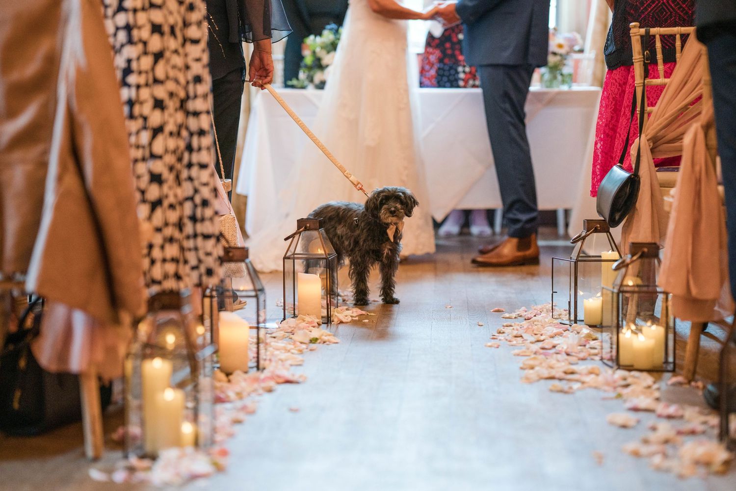 Zara Davis Wedding Photography Guyers House Dogs at Weddings somerset Cotswolds Gloucestershire Chetenham