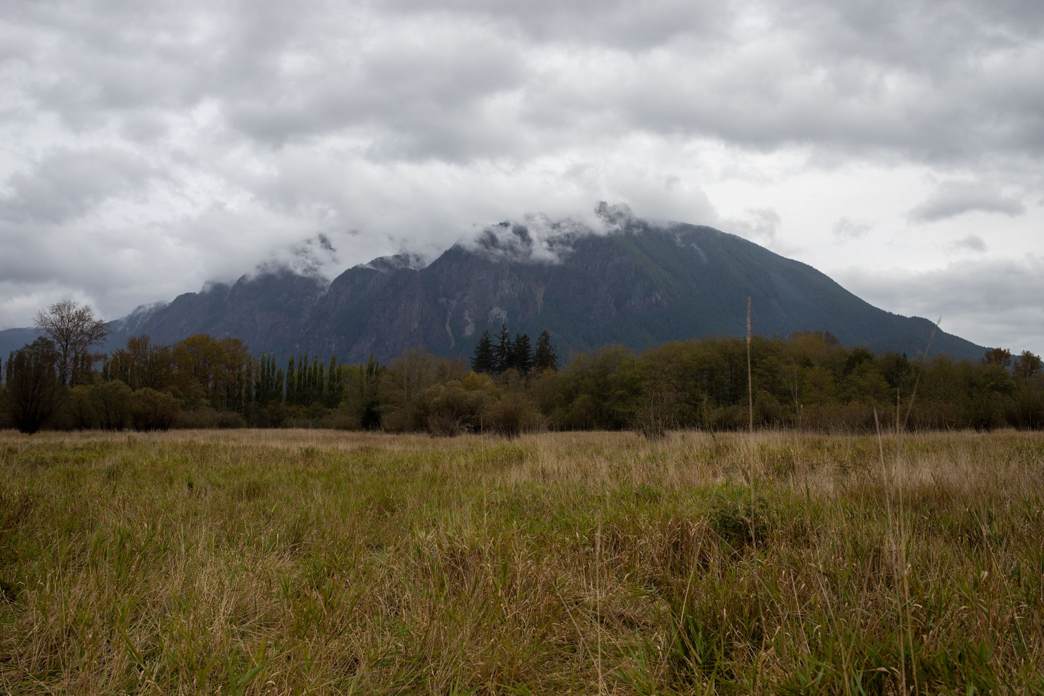 Meadowbrook Farm Location Photographer in Issaquah, Snoqualmie, Maple