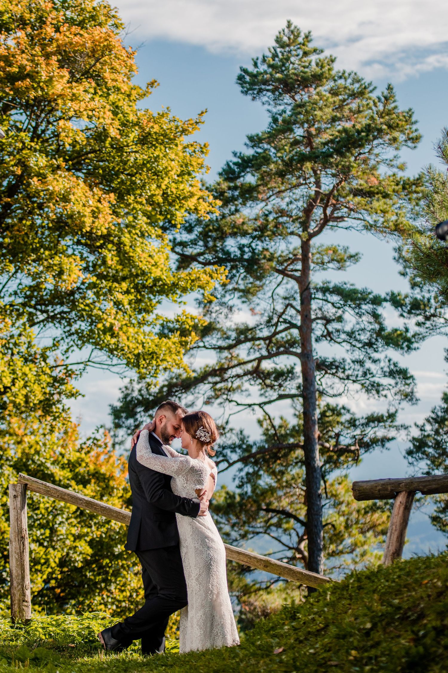 A romantic embrace on a hillside with tall pine trees and autumn foliage in the background.
