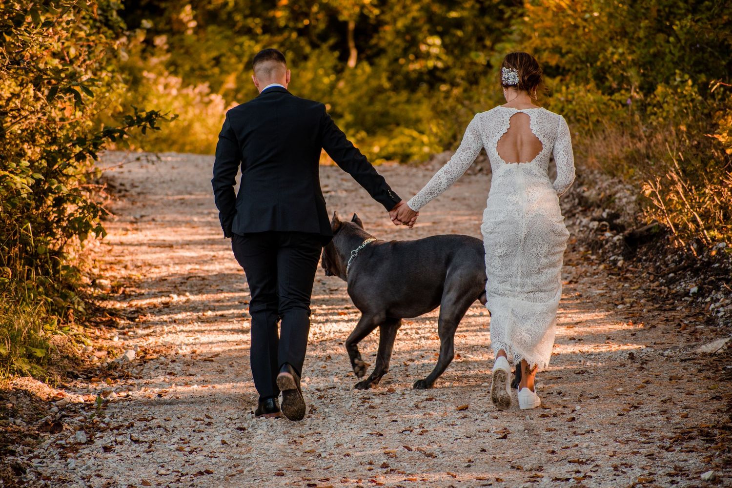 A couple walks down a sunlit path with their black dog, wearing wedding attire.