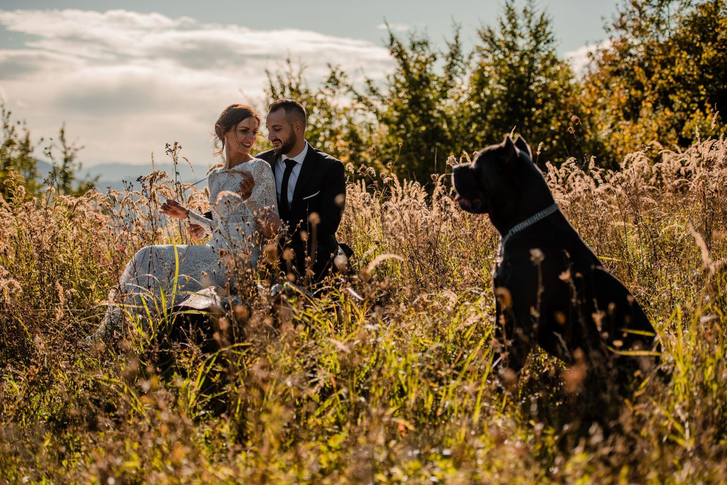 Wedding couple sits in golden field with black dog during sunset.