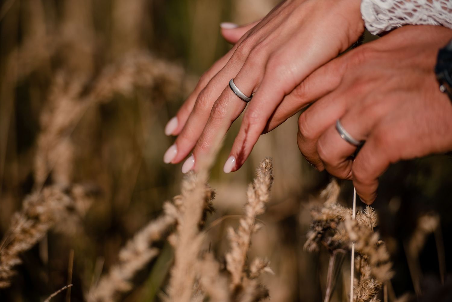 Close-up of wedding rings and hands touching dried grass in warm sunlight.