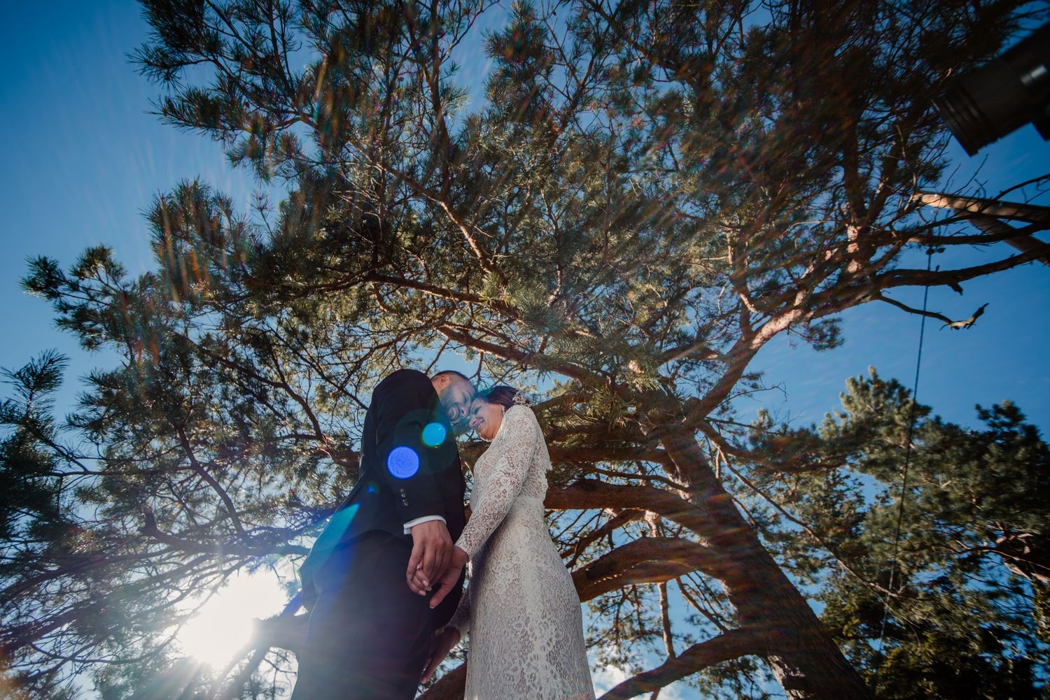 Creative wedding photo beneath pine tree with sunburst effect.