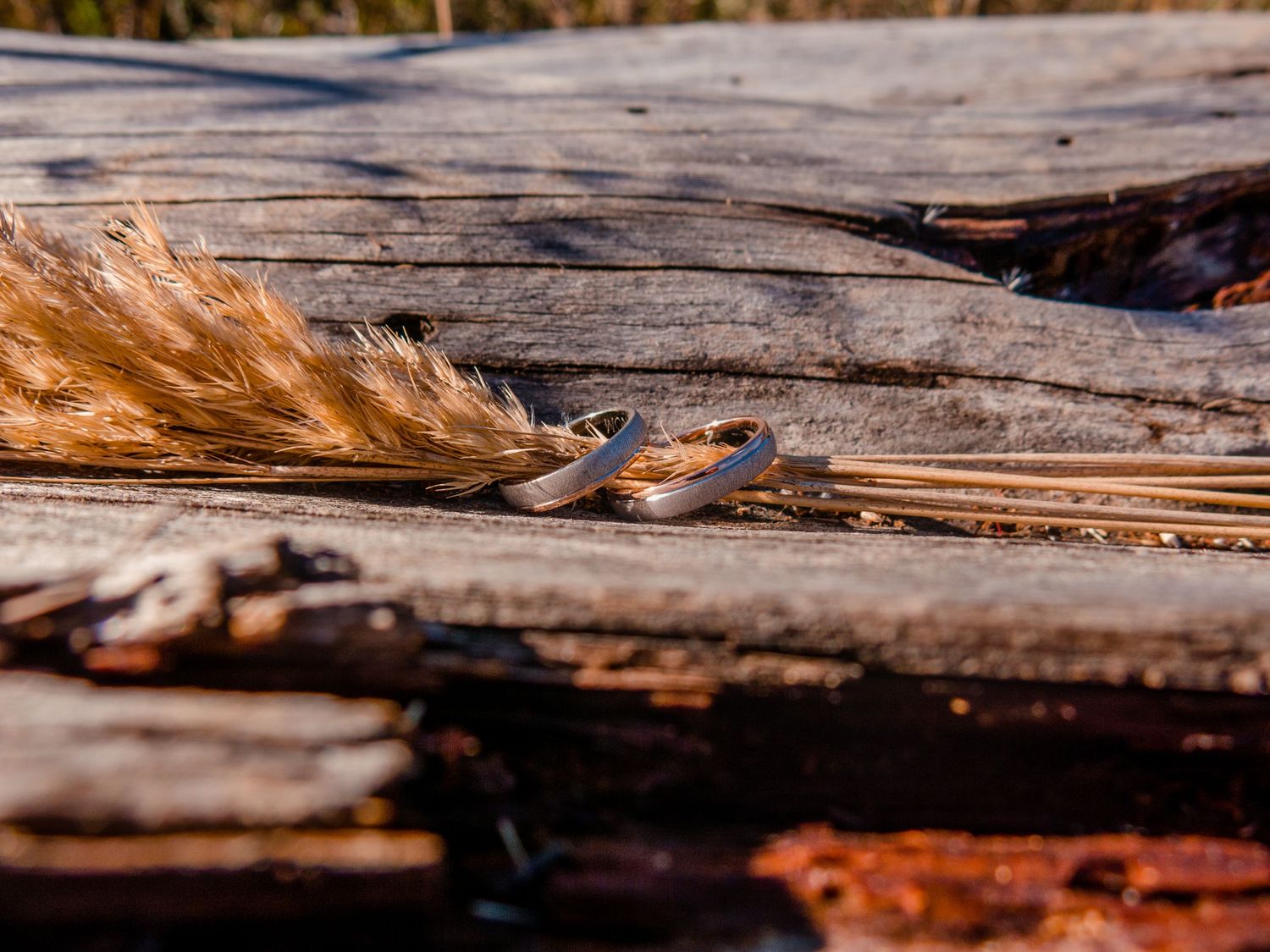 Close-up of a dried autumn leaf on weathered wooden surface with detailed texture and shadows.