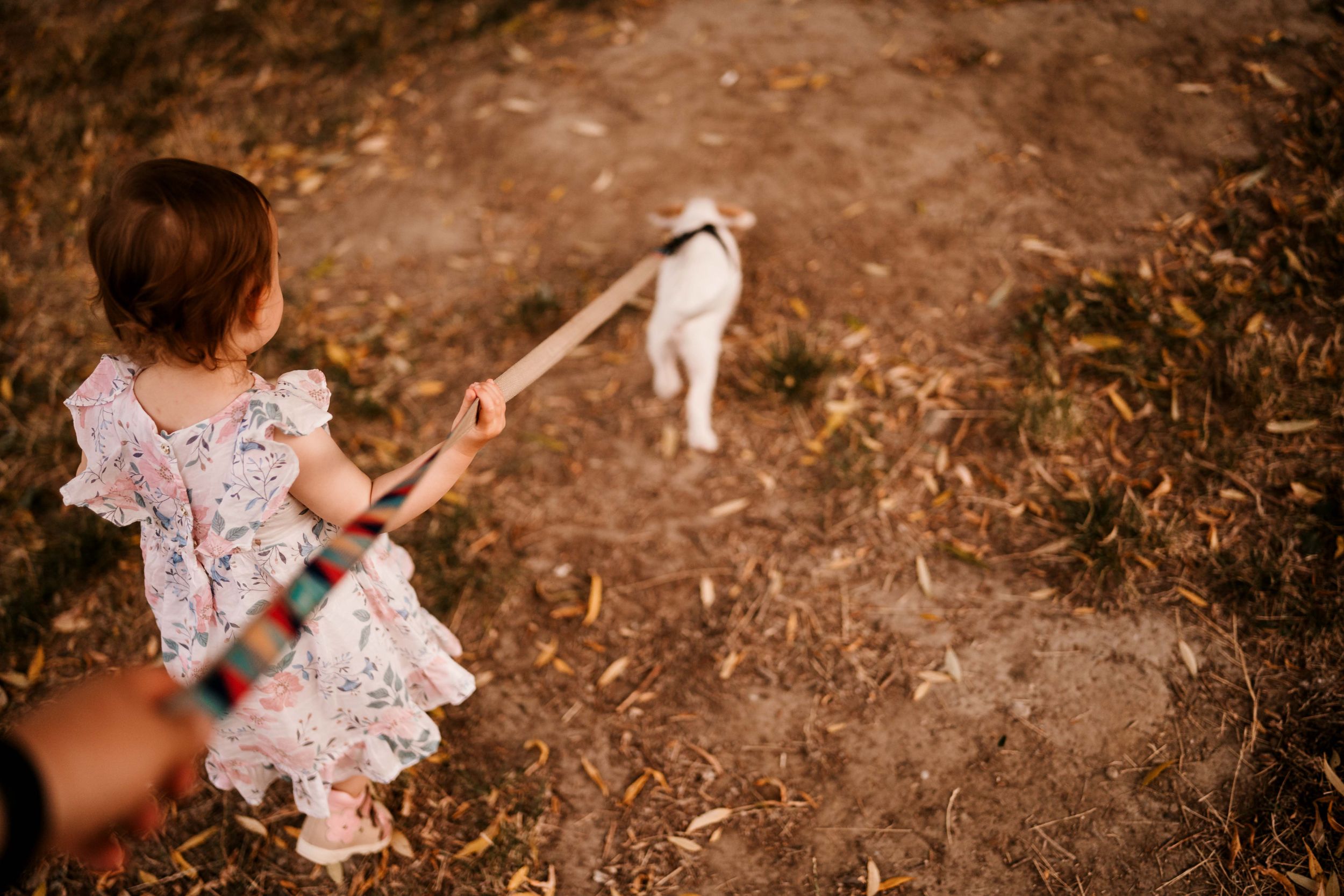 Child in a floral dress reaching out to pet a white dog on a dirt trail.