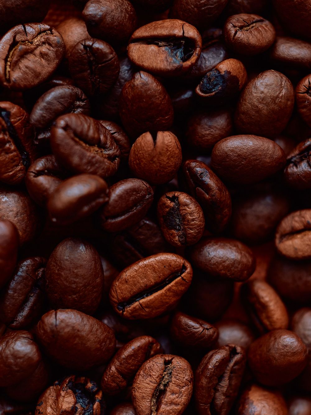 Close-up texture of roasted coffee beans filling the frame.