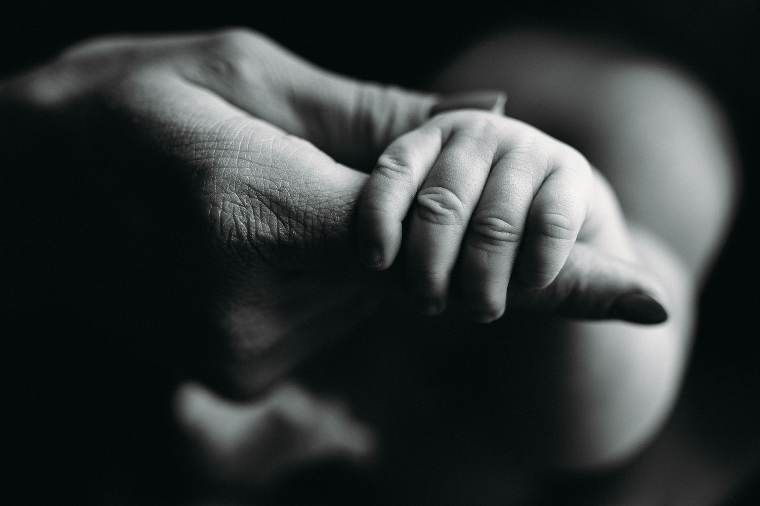 Tallahassee Newborn Photography