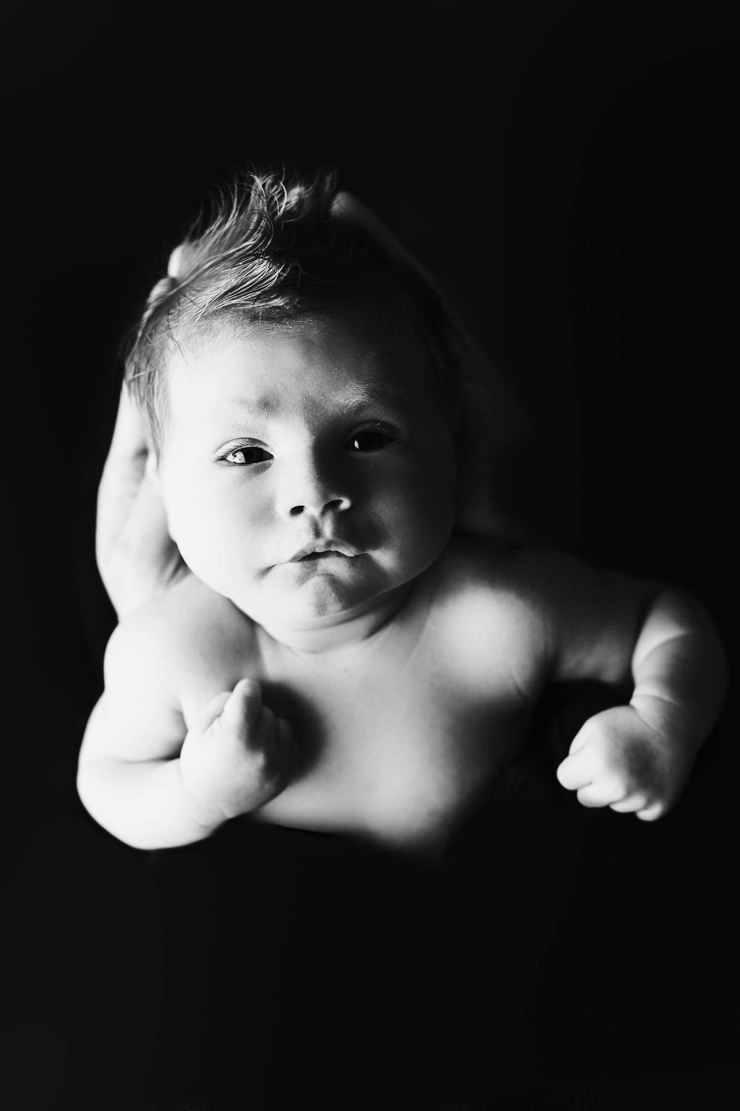 Tallahassee Newborn Photography