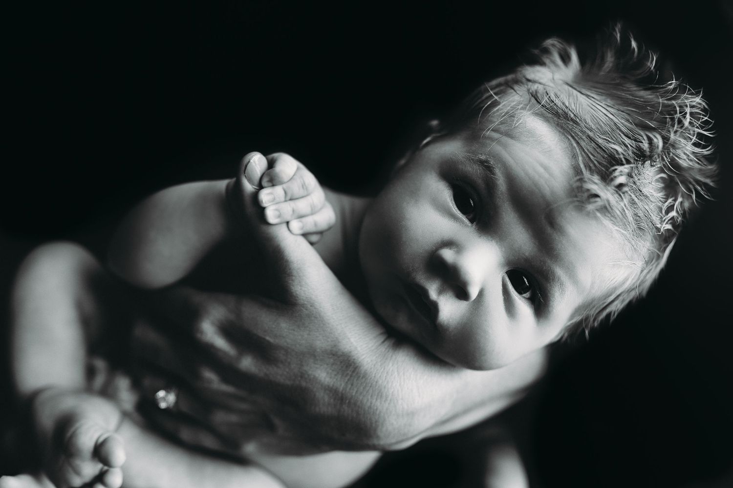 Tallahassee Newborn Photography