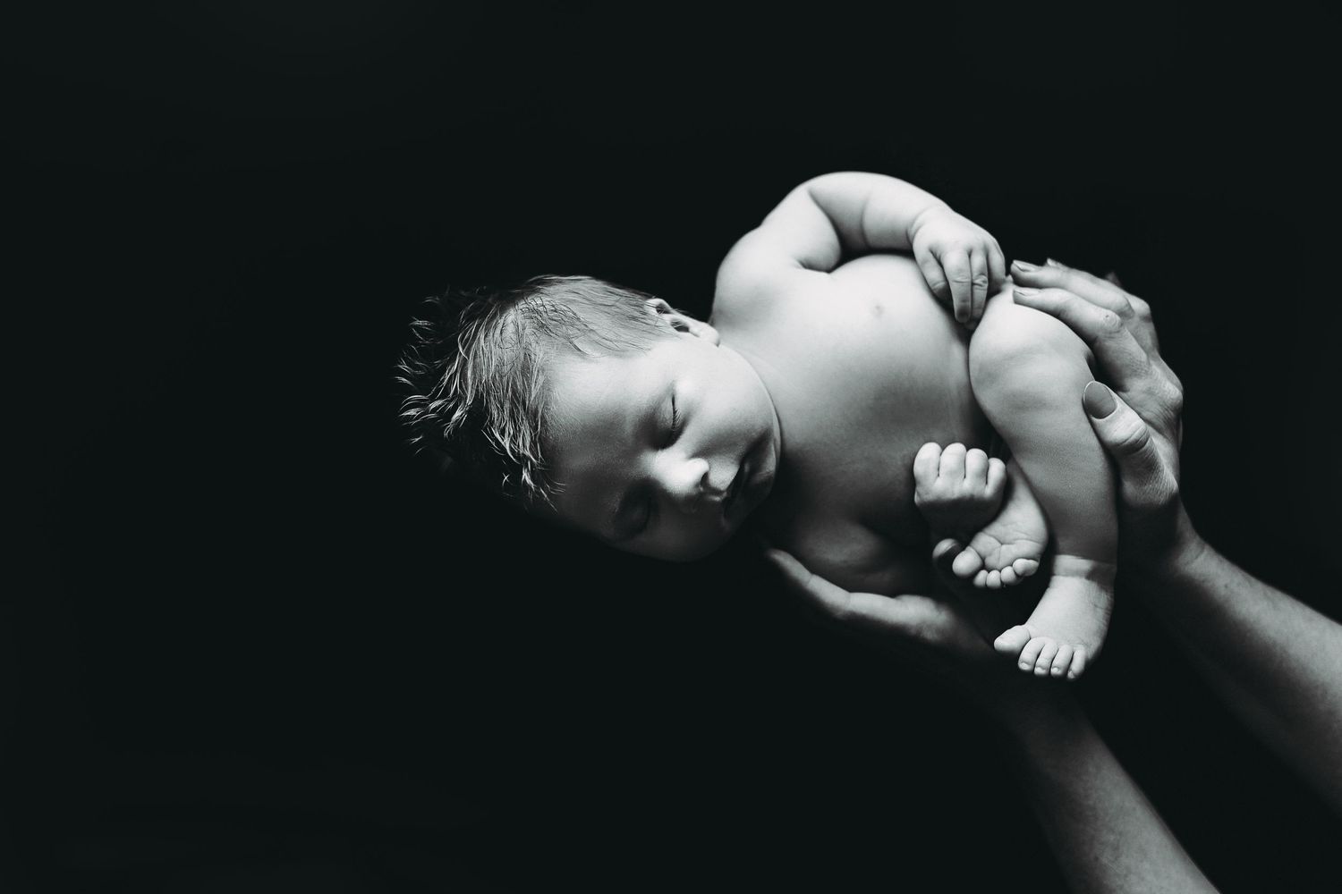 Tallahassee Newborn Photography