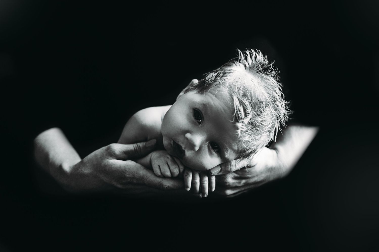 Tallahassee Newborn Photography