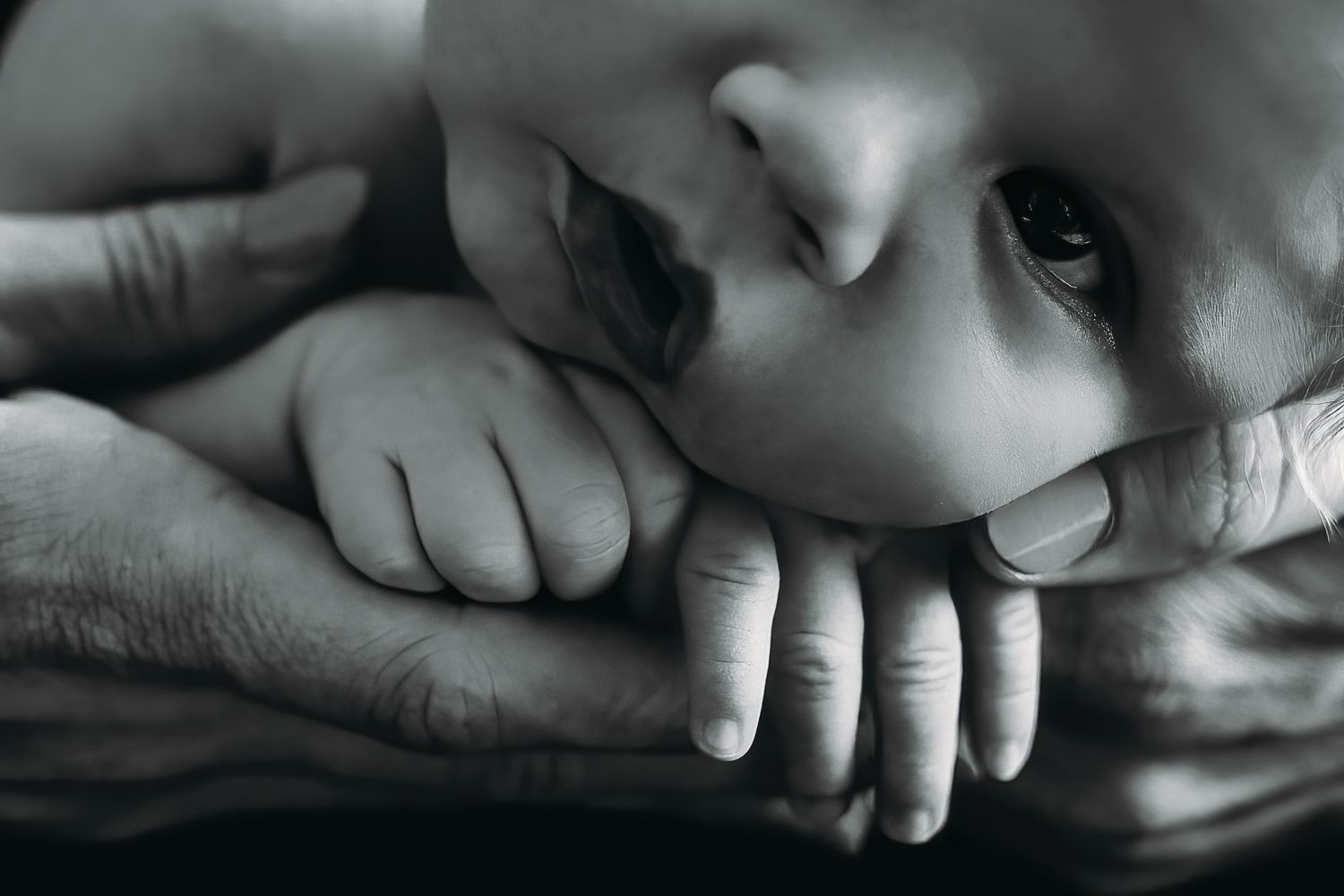 Tallahassee Newborn Photography