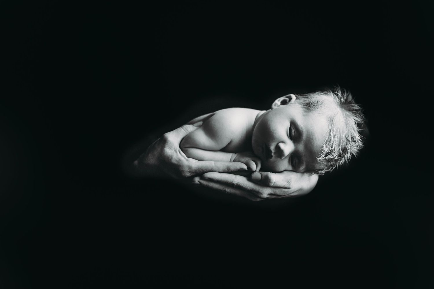 Tallahassee Newborn Photography