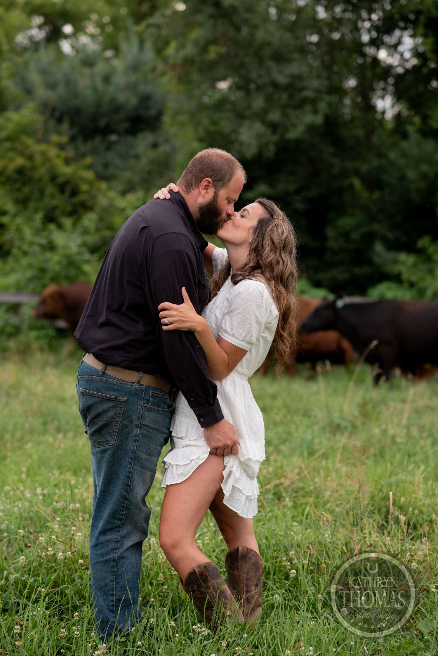 A couple shares a romantic kiss in a field with grazing cattle behind them.