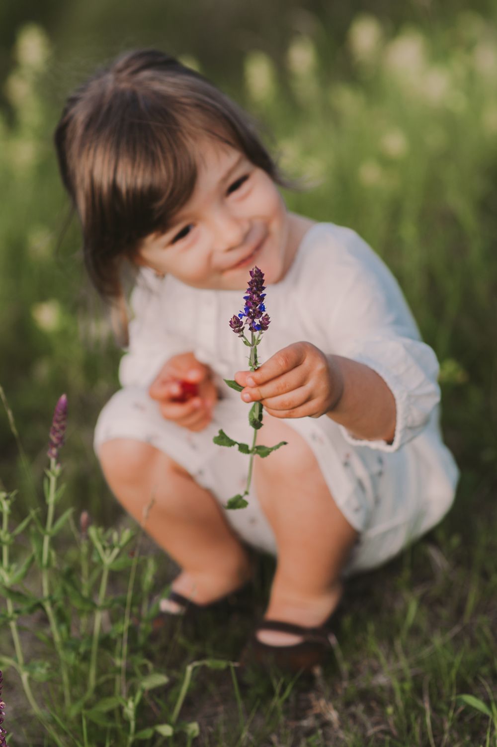 Small child in white dress examining purple wildflowers in a meadow.