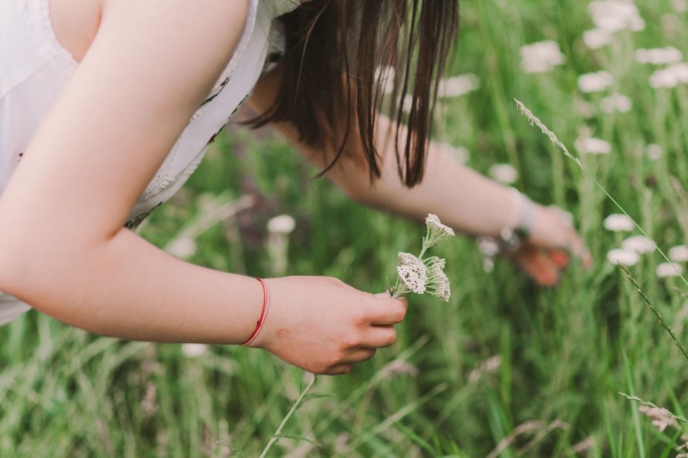 A small hand gently holds a delicate white dandelion flower in a lush green meadow.