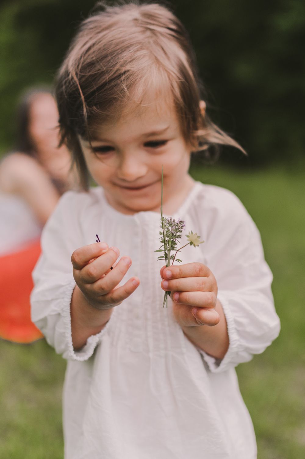 Close-up of small hands holding and examining delicate wildflowers.