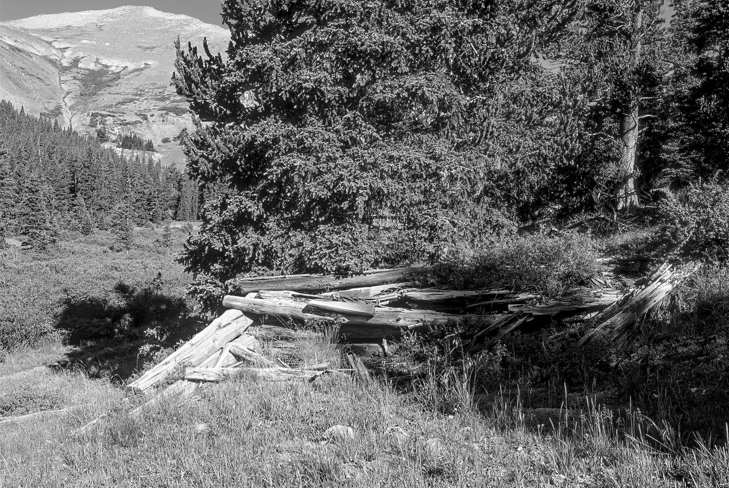 Cree's Camp, Colorado