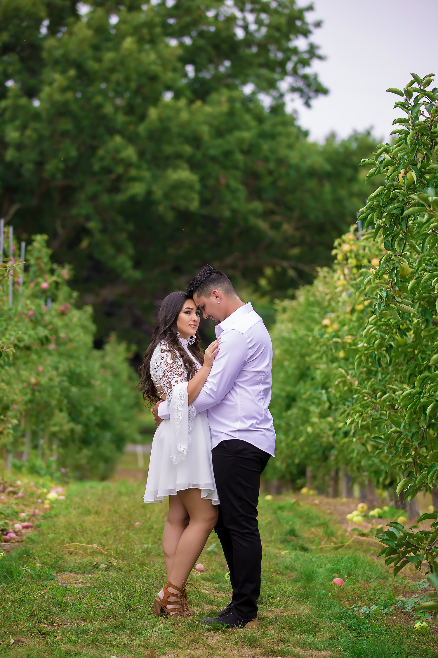 A romantic photoshoot in an orchard with blooming trees and natural lighting.