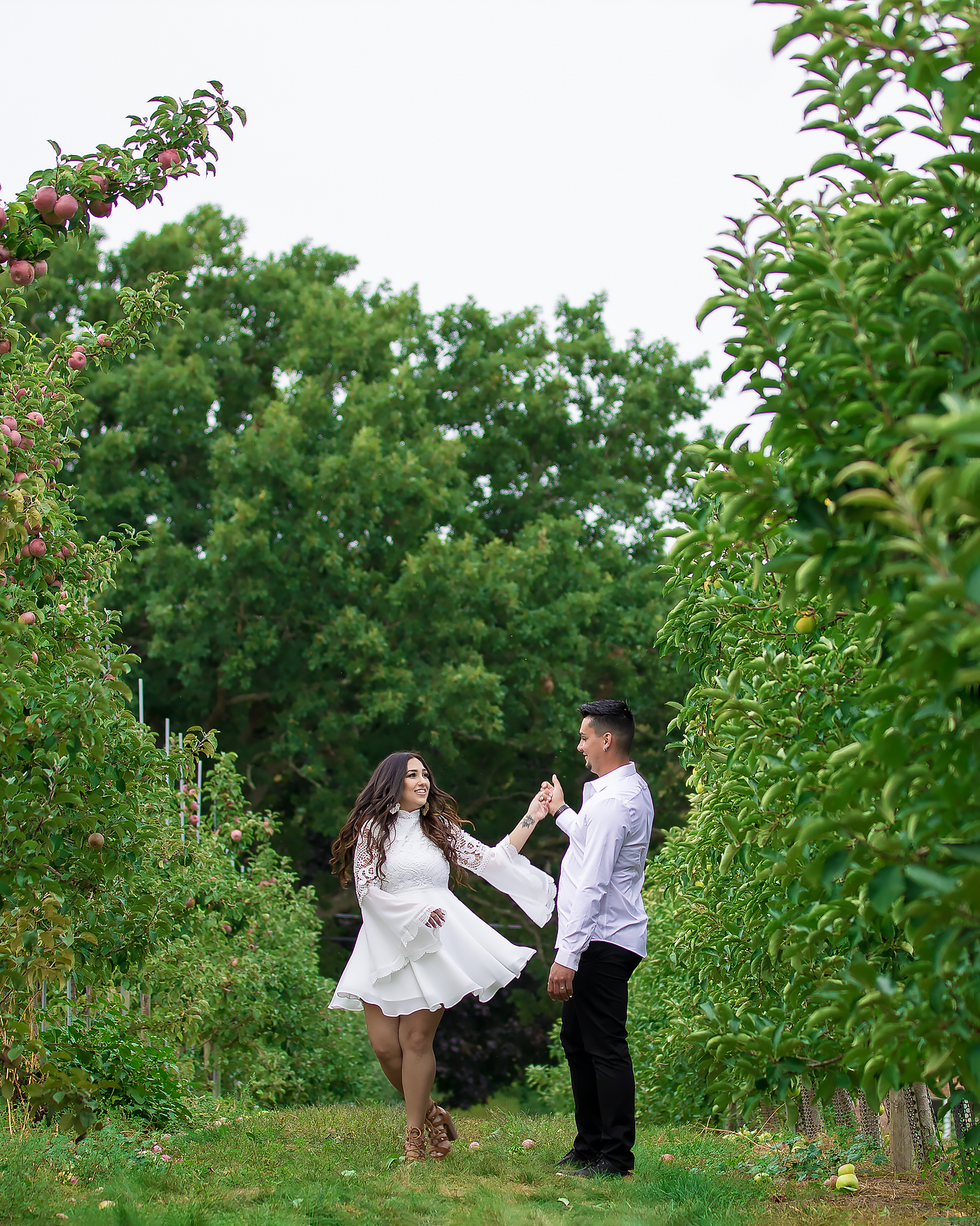 An engagement session in a scenic apple orchard with green trees and natural lighting.