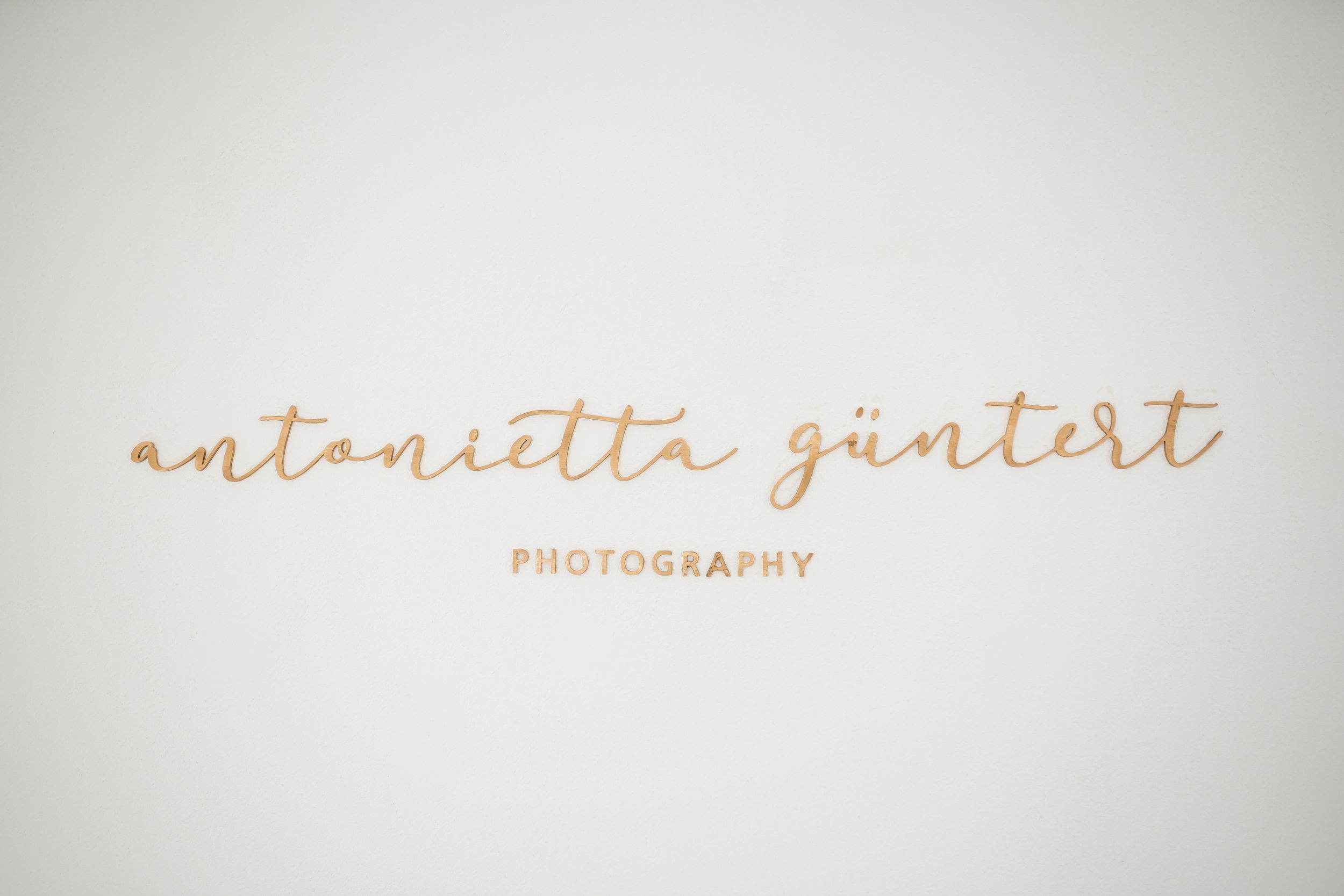 Elegant cursive text reading 'antonette gintert photography' in soft brown ink.