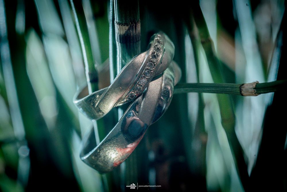 Decorative silver wedding rings photographed against green foliage background.