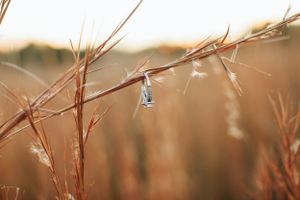 A delicate diamond ring hangs from a bare winter branch against a soft blurred background.