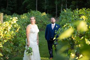 A bride and groom pose elegantly in a vineyard with golden afternoon light.