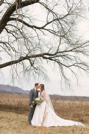 Wedding couple sharing an intimate moment under a bare winter tree in a rustic field.