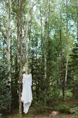 A white wedding dress hangs elegantly from a birch tree in a serene forest setting.
