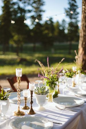 An elegantly set outdoor table with succulent centerpieces and golden candlesticks in natural sunlight.