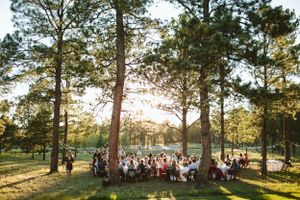 Golden sunset light streams through pine trees at an outdoor wedding reception.