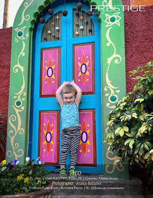 Decorative doorway with bright blue trim and pink panels featuring ornate painted designs.