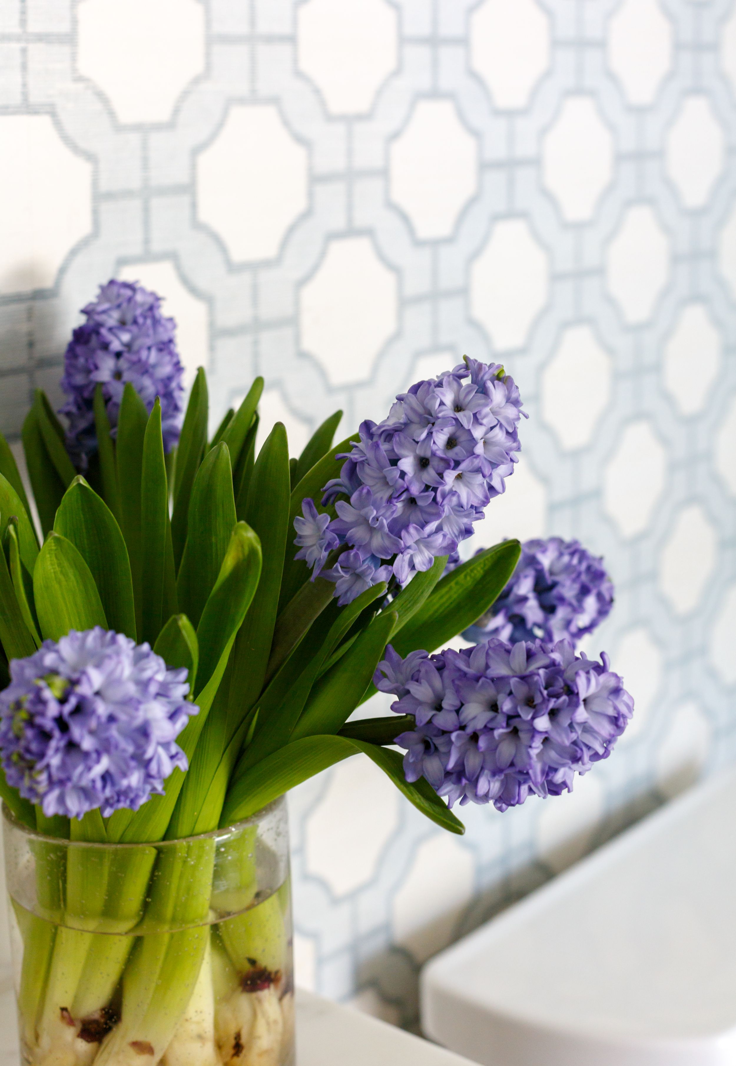 Blue and white guest bathroom deigned by Orangerie Home interior design.