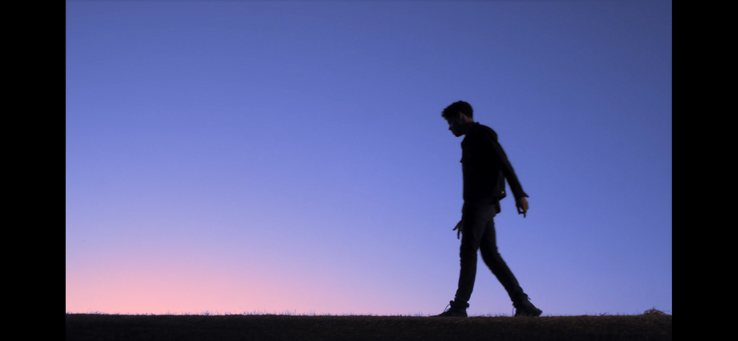 Just Friendz Music Video Still Cover