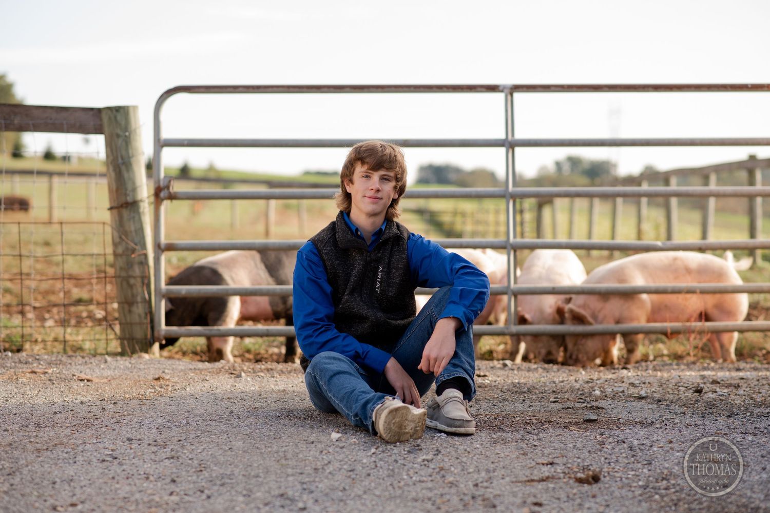 A figure in blue coat and jeans sits casually by a metal gate with pigs visible in the background.